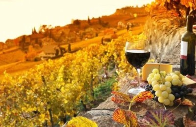 chianti wine tour