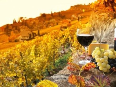 chianti wine tour