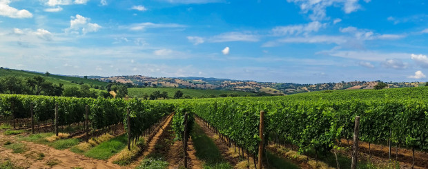 tuscany wineries